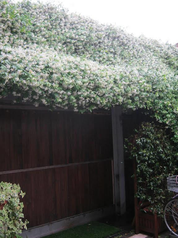 基奥贾Casa Di Carlo Goldoni - Dimora Storica住宿加早餐旅馆 外观 照片